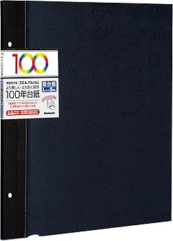 ナカバヤシフェルアルバム　Lサイズ 台紙15枚セット済み(替台紙、5枚プラス) 71HFYZaUDQL._AC_UF350,